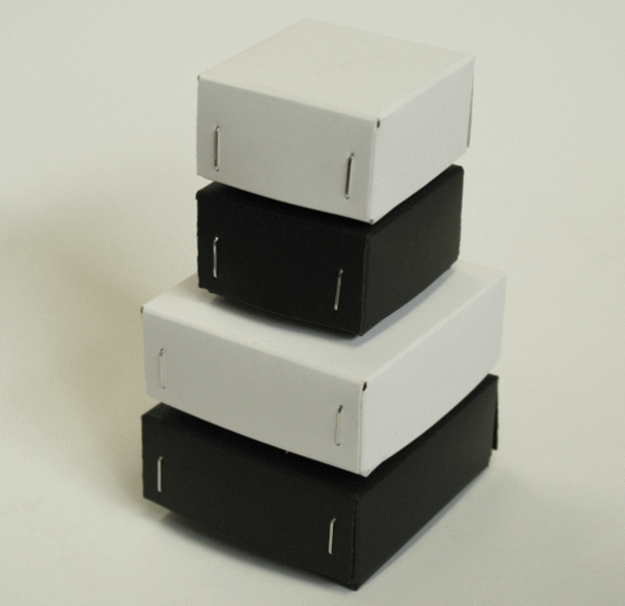 紙箱のセミオーダーメイド＿白い箱例2